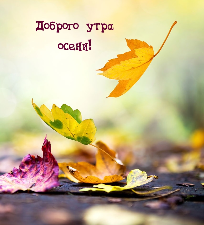 Доброго утра осени!