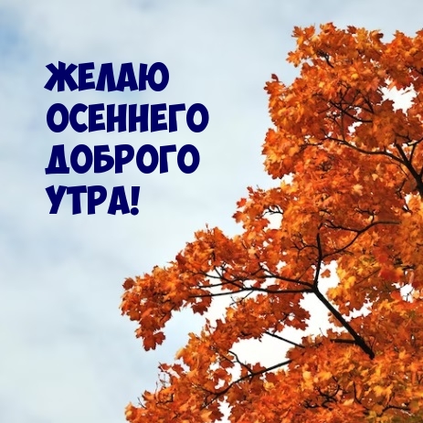 Желаю осеннего доброго утра!