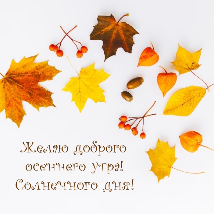 Желаю доброго осеннего утра! Солнечного дня!