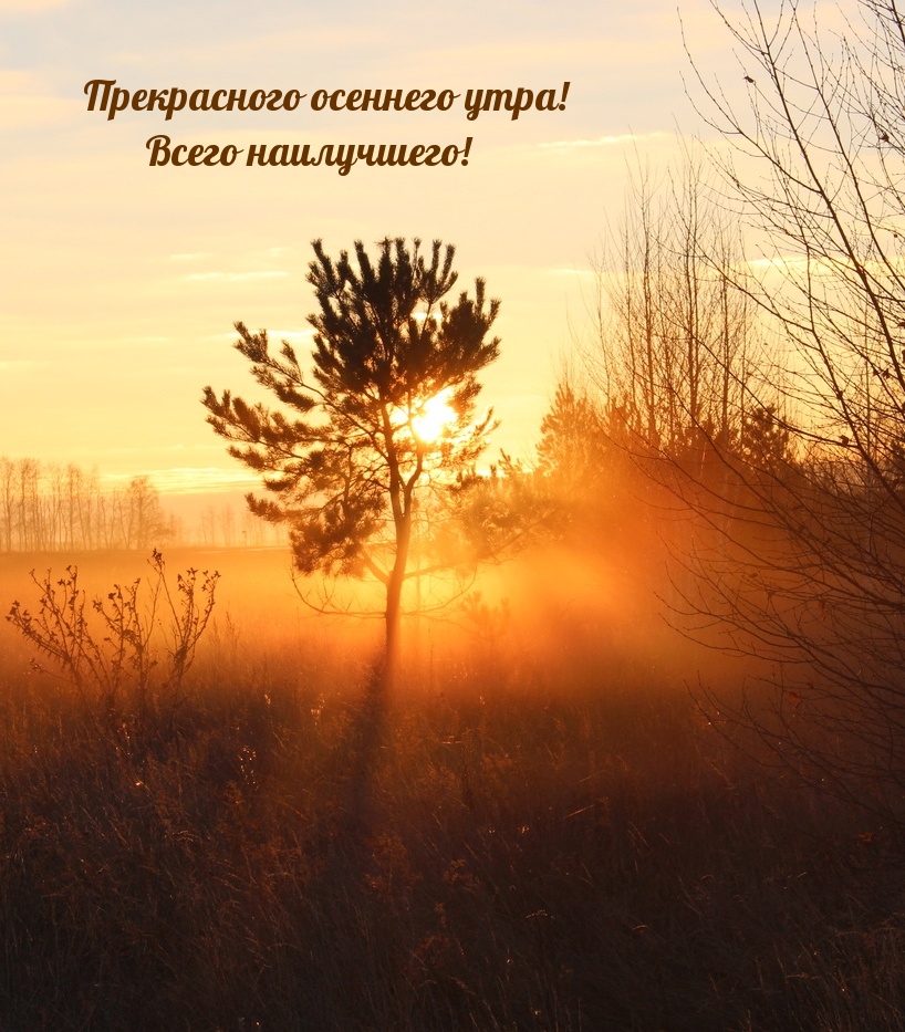 Прекрасного осеннего утра! Всего наилучшего!