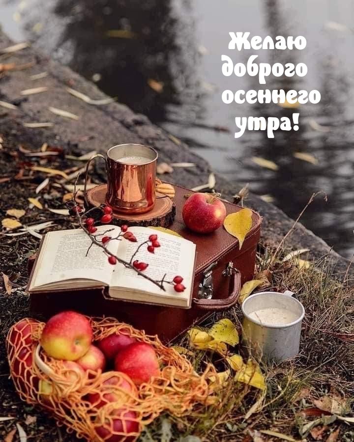 Желаю доброго осеннего утра!