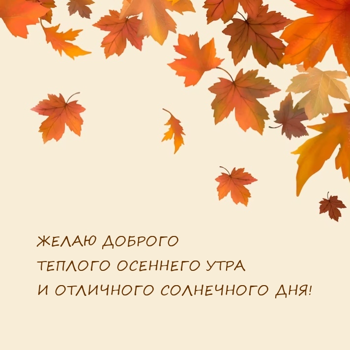 Желаю доброго теплого осеннего утра и отличного солнечного дня!