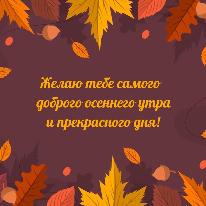 Желаю тебе самого доброго осеннего утра и прекрасного дня!