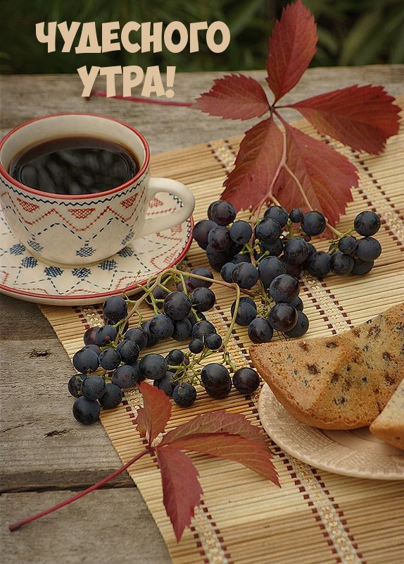 Чудесного утра!