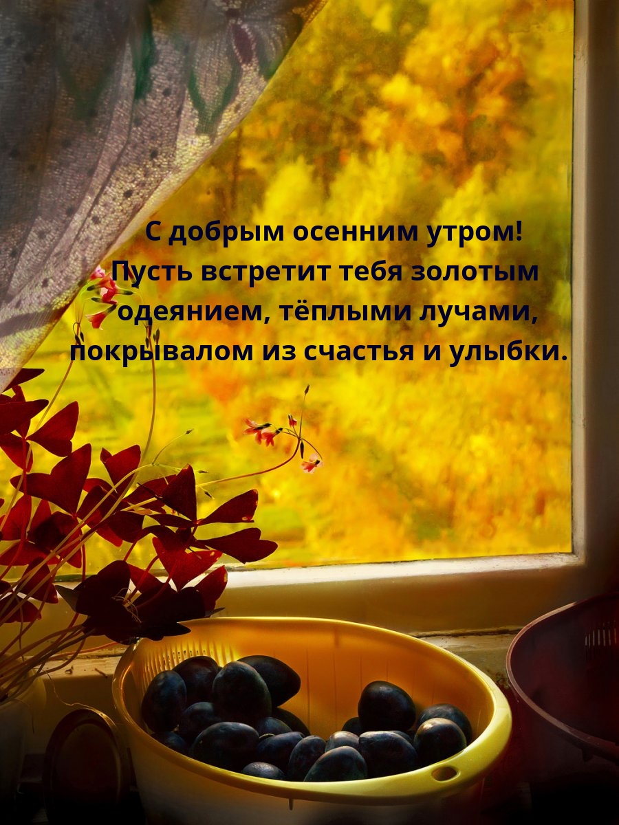 С добрым осенним утром! Пусть встретит тебя золотым одеянием