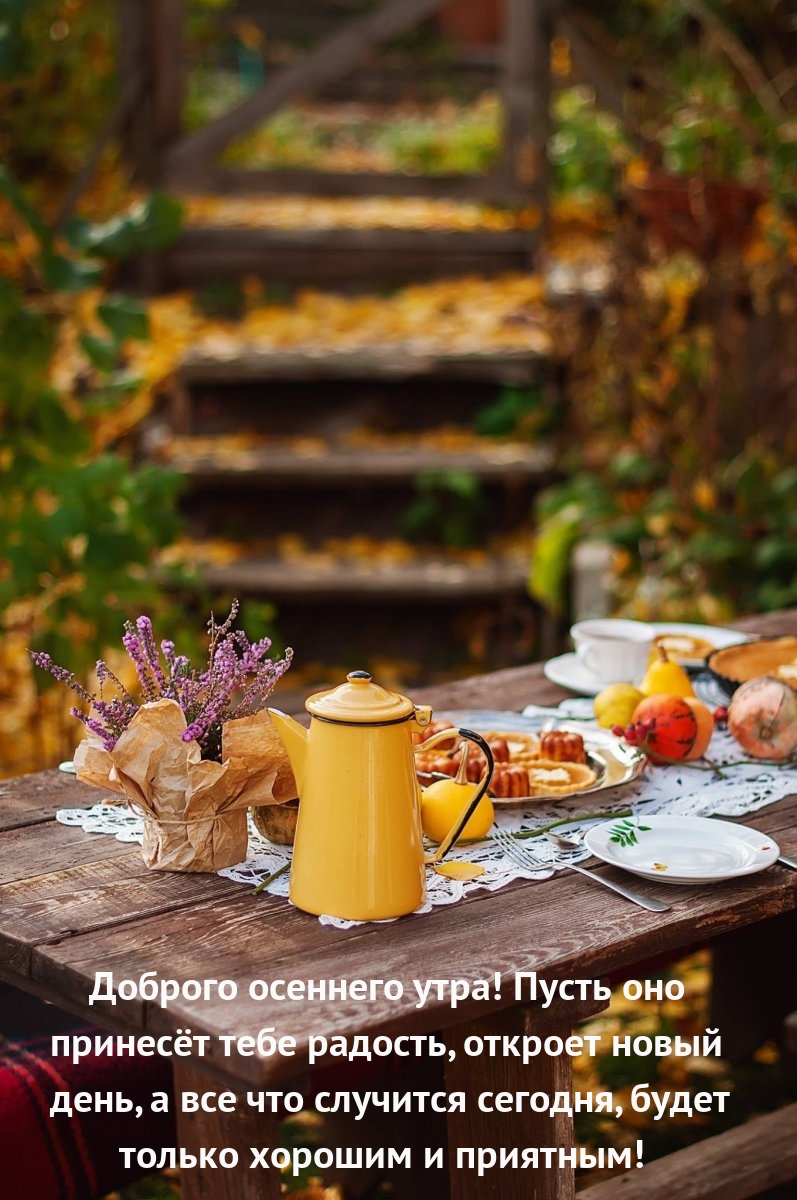 Доброго осеннего утра! Пусть оно принесёт тебе радость