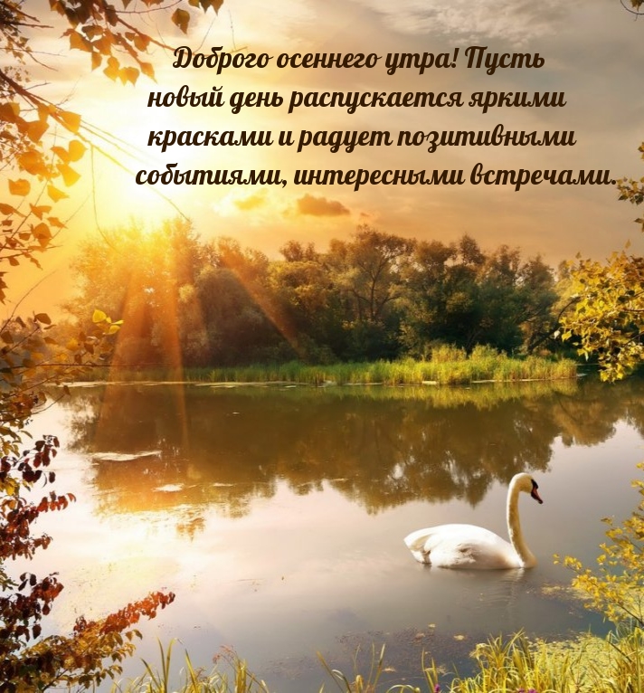 Пусть новый день распускается яркими красками