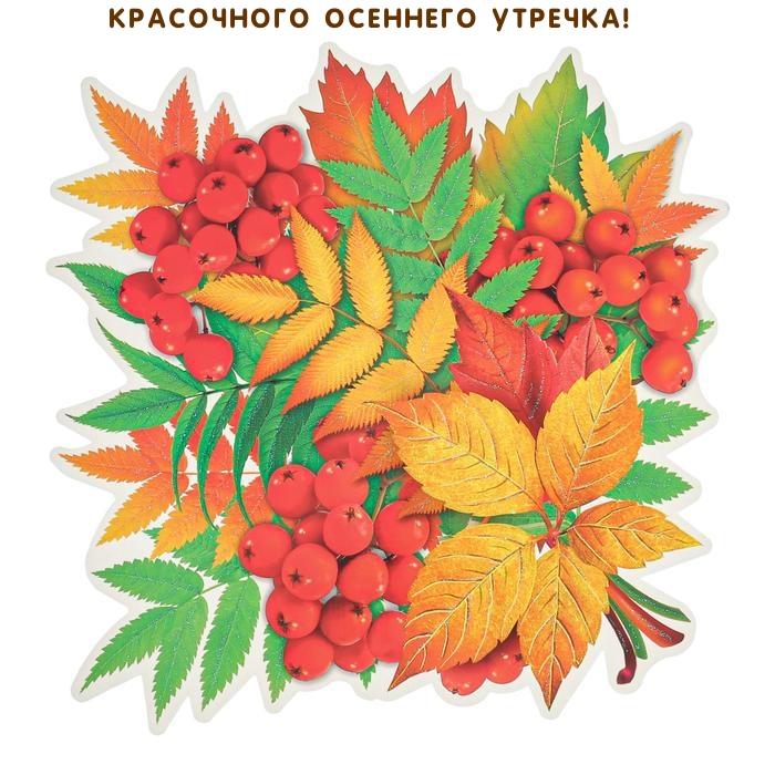 Красочного осеннего утречка!