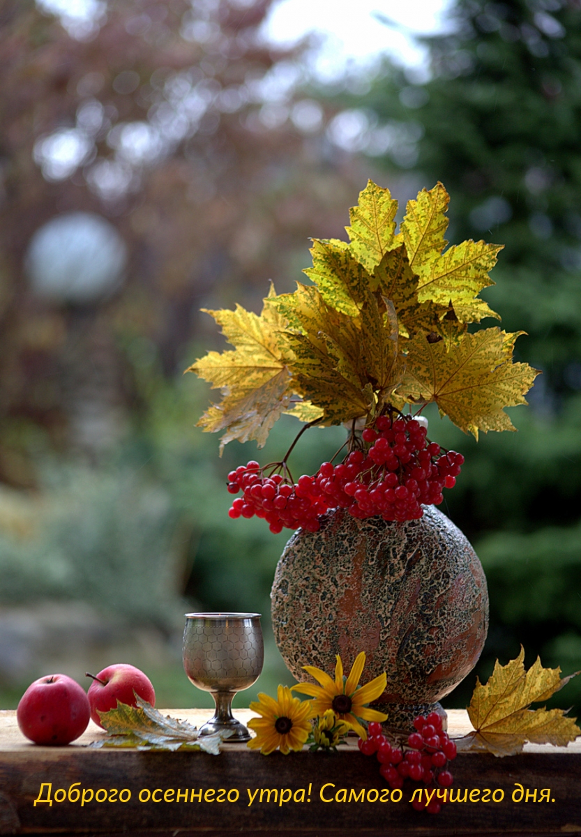Доброго осеннего утра! Самого лучшего дня.