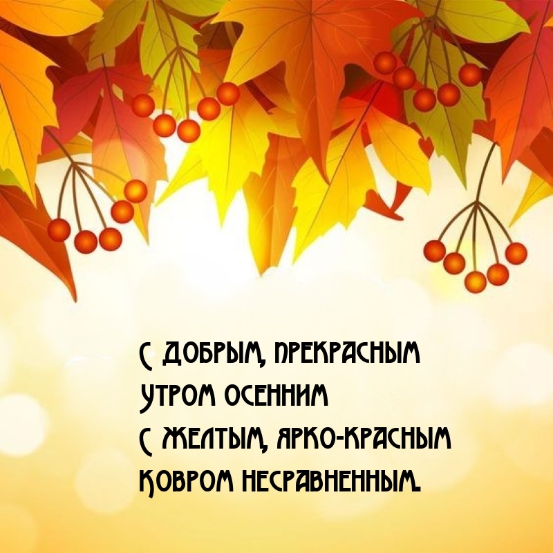 С добрым, прекрасным утром осенним с желтым, ярко-красным