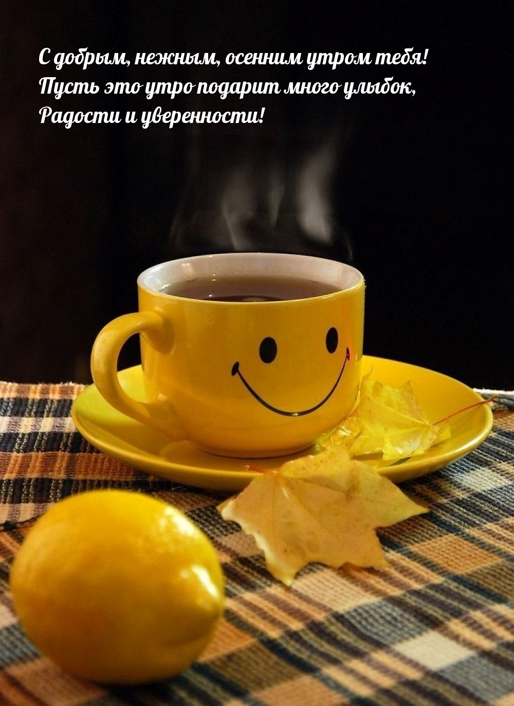 С добрым, нежным, осенним утром тебя! 