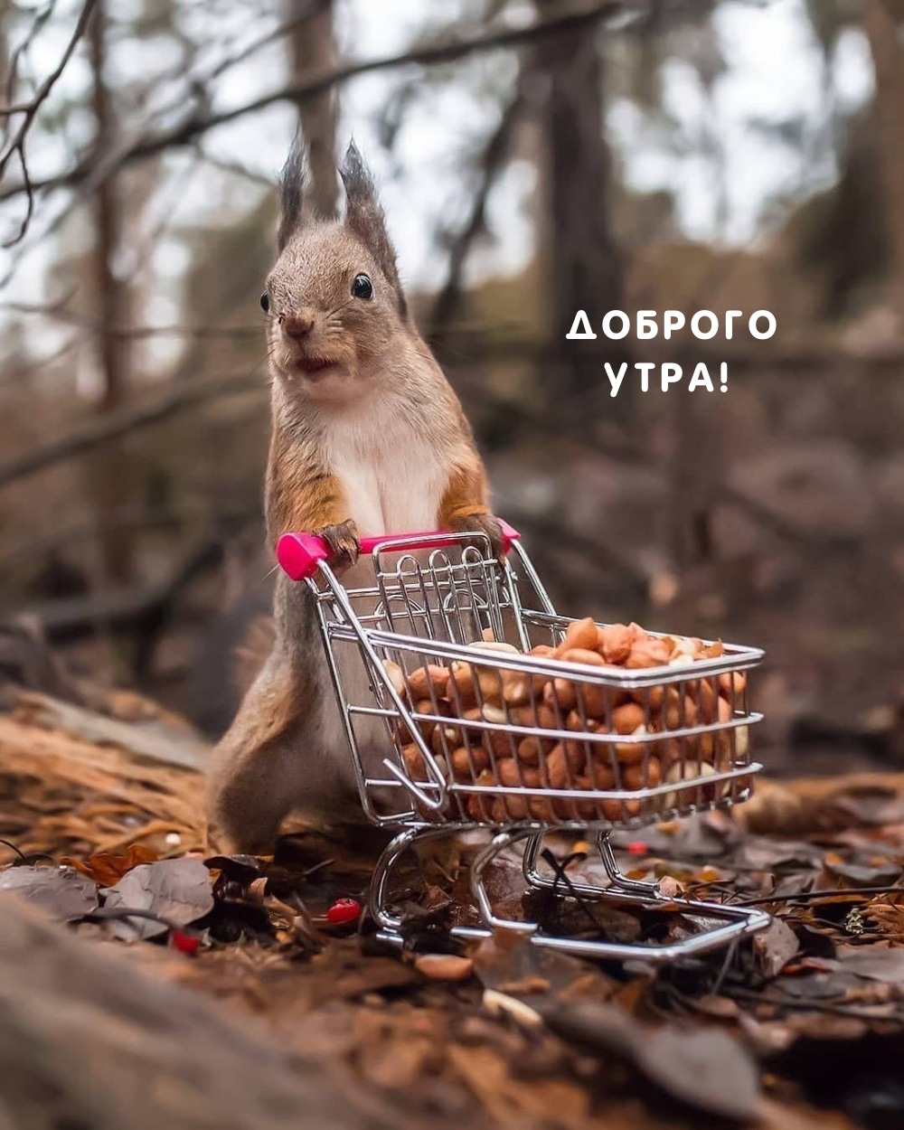 Доброго утра!