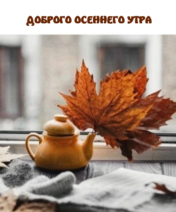 Доброго осеннего утра