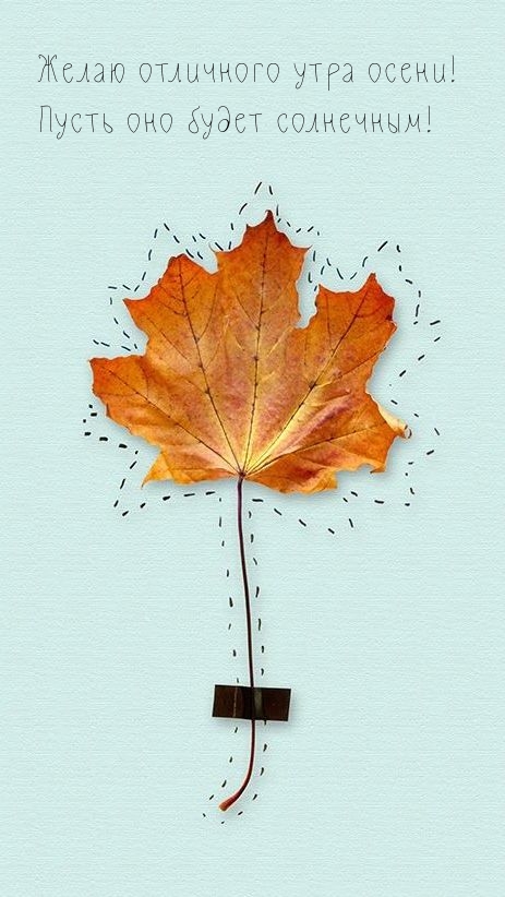 Желаю отличного утра осени! Пусть оно будет солнечным!