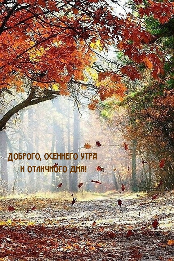 Доброго, осеннего утра и отличного дня!