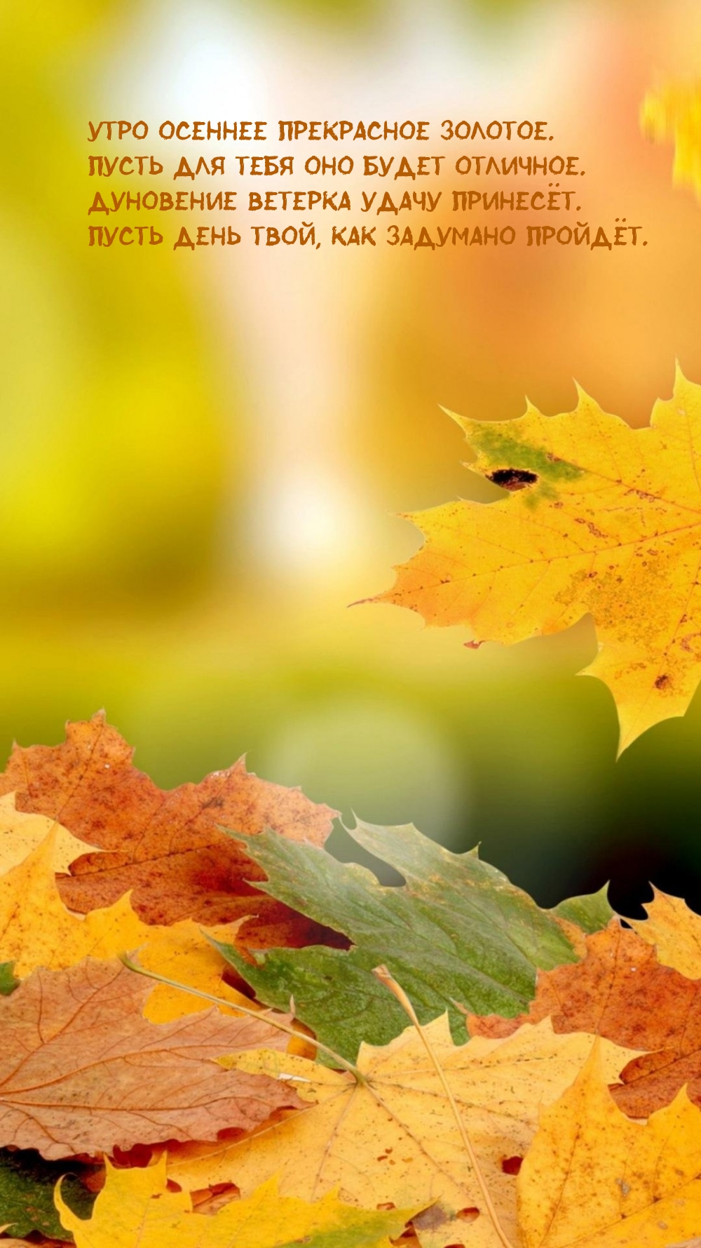 Утро осеннее прекрасное золотое. Пусть для тебя оно будет отличное.