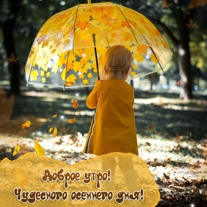 Доброе утро! Чудесного осеннего дня! 