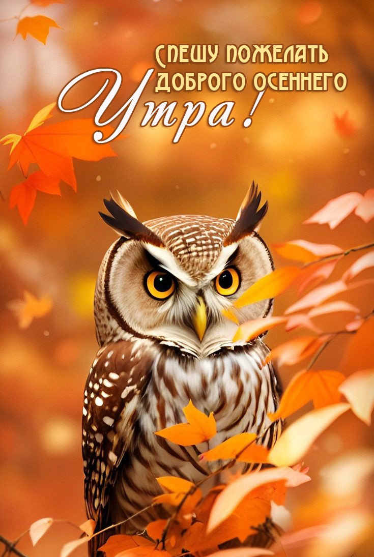 Спешу пожелать доброго осеннего утра!