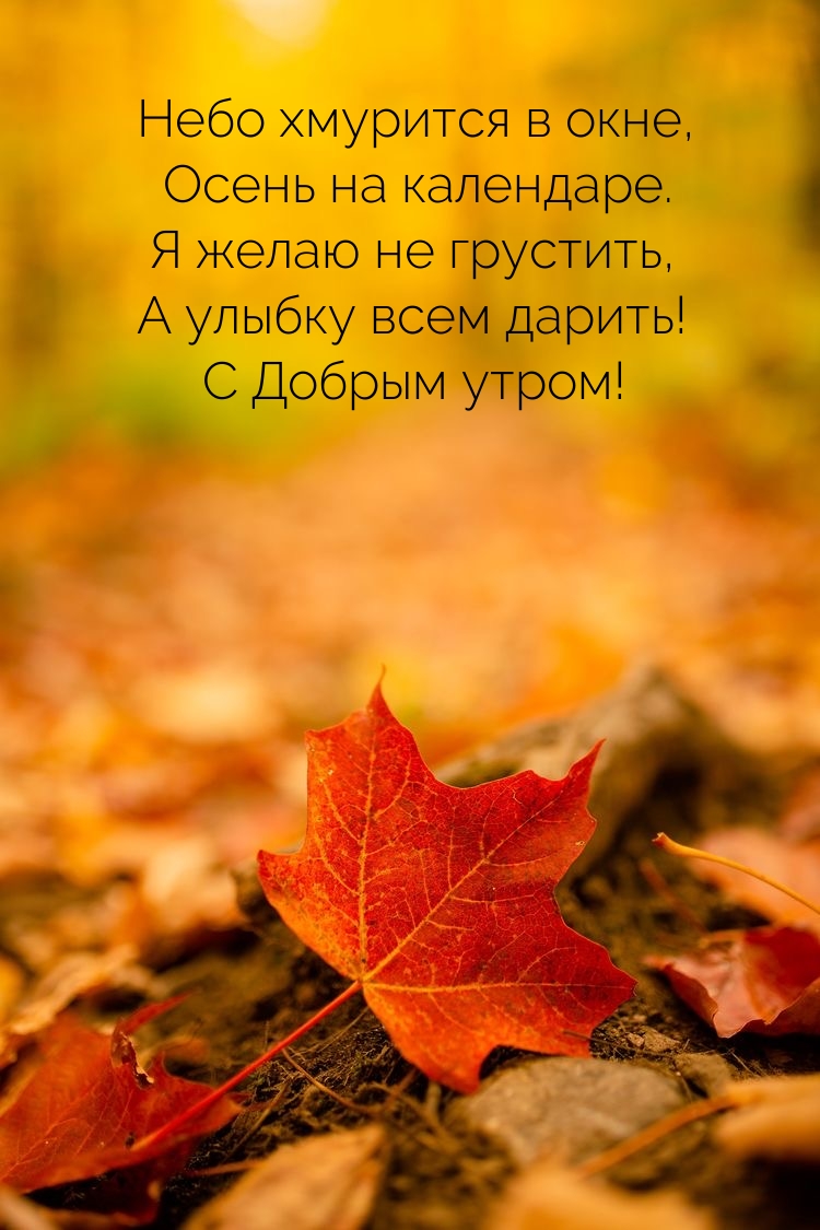 С Добрым утром! Небо хмурится в окне, осень на календаре.