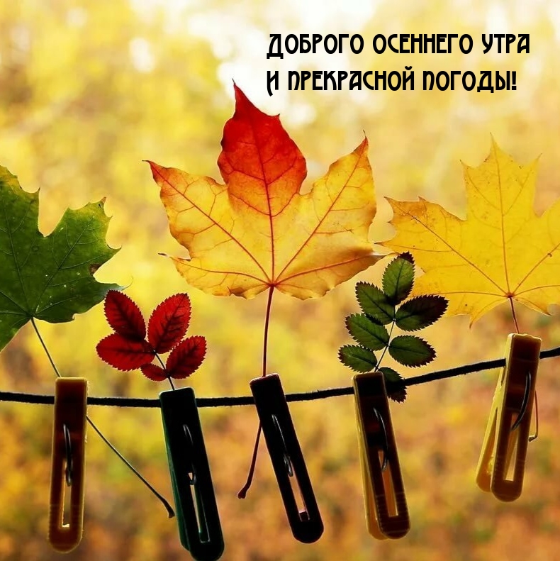 Доброго осеннего утра и прекрасной погоды!