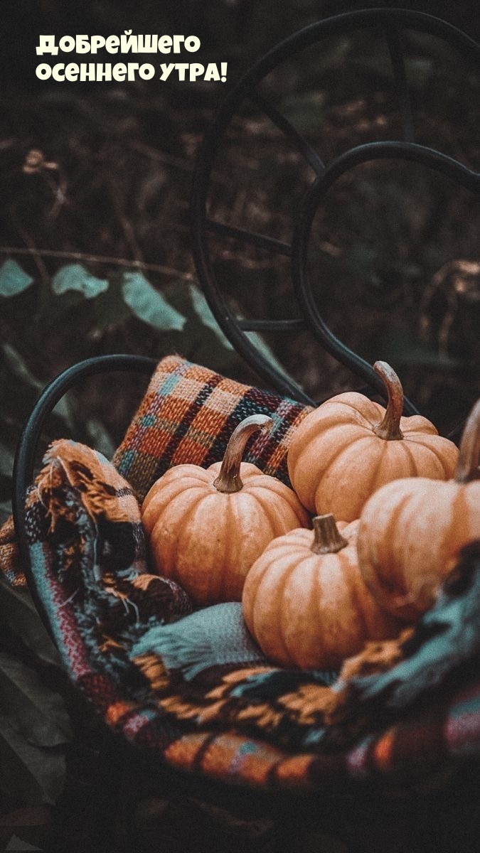 Добрейшего осеннего утра!