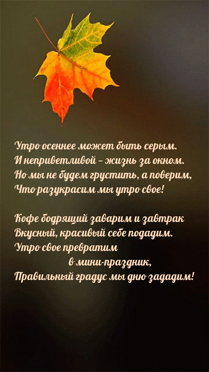 Утро осеннее может быть серым. И неприветливой — жизнь за окном.