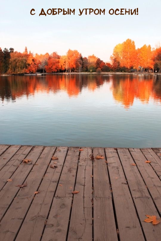 С добрым утром осени!