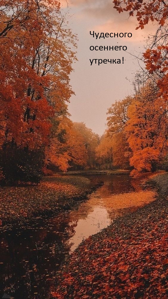 Чудесного осеннего утречка!