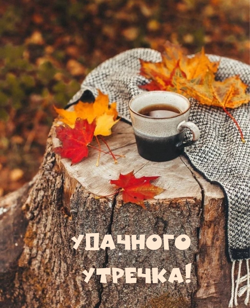 Удачного утречка!