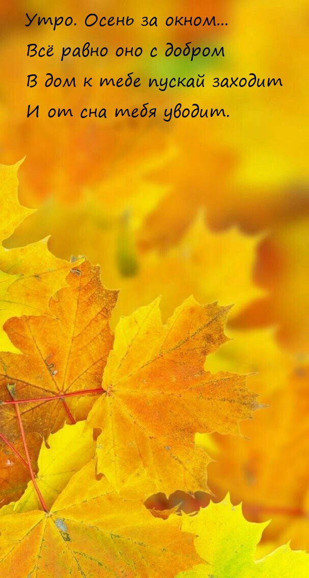 Утро. Осень за окном... Всё равно оно с добром