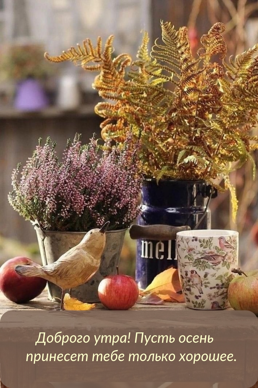 Доброго утра! Пусть осень принесет тебе только хорошее.
