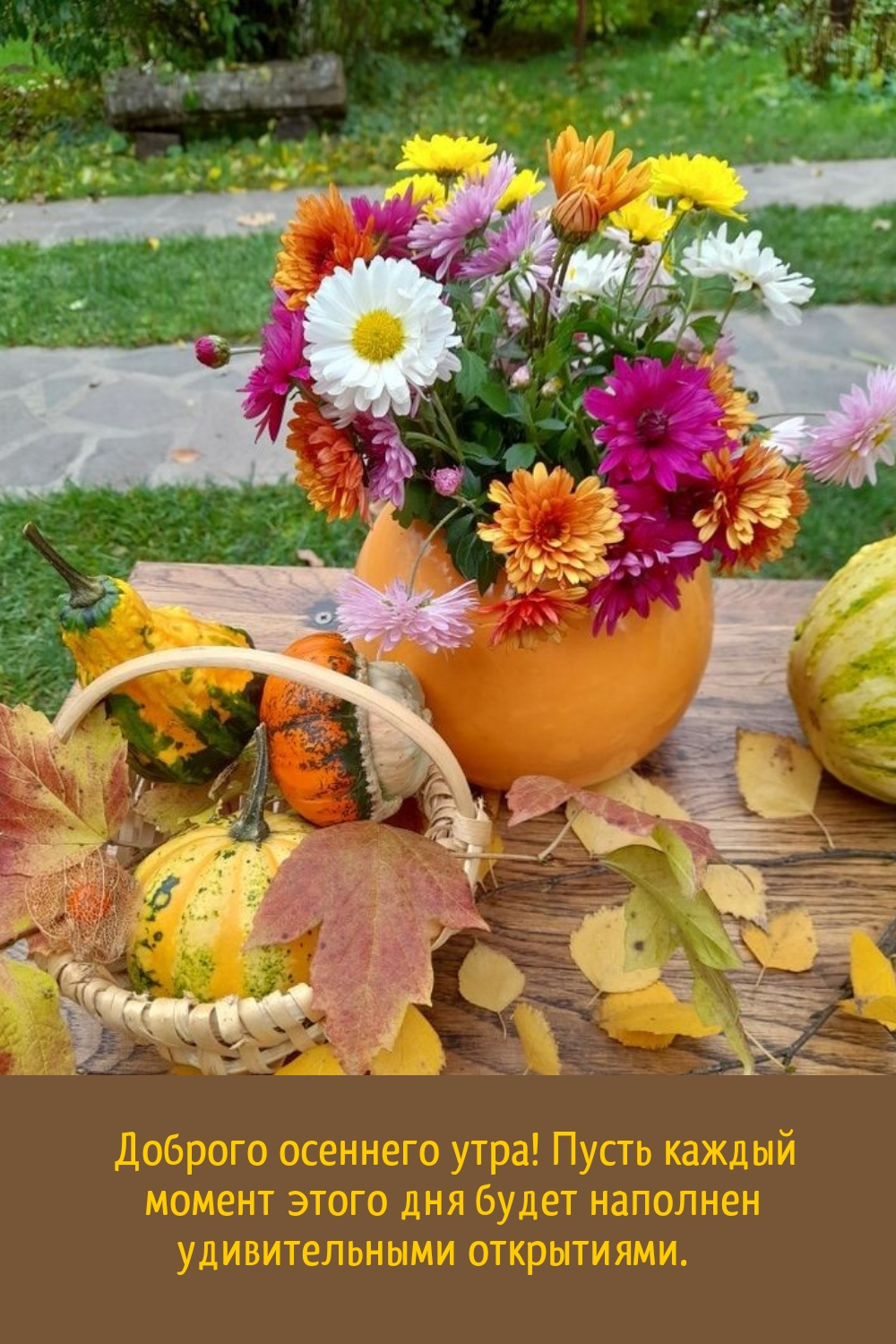 Пусть каждый момент дня будет наполнен удивительными открытиями