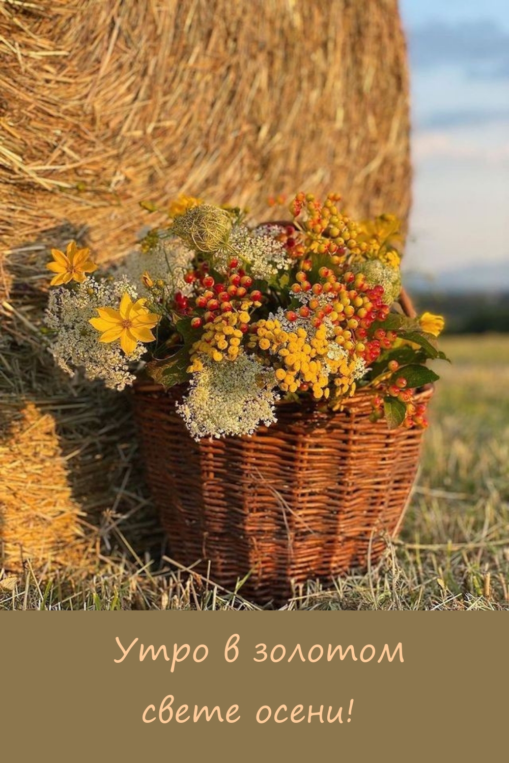 Утро в золотом свете осени!