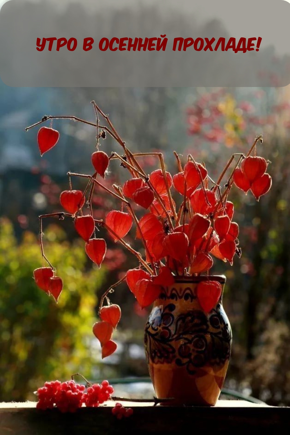 Утро в осенней прохладе!