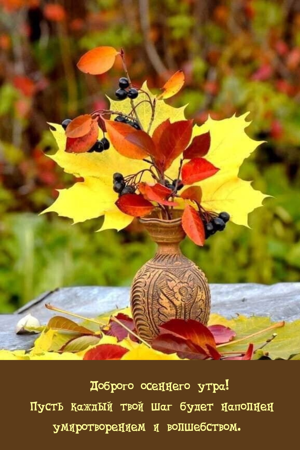 Доброго осеннего утра! Пусть каждый шаг будет наполнен умиротворением