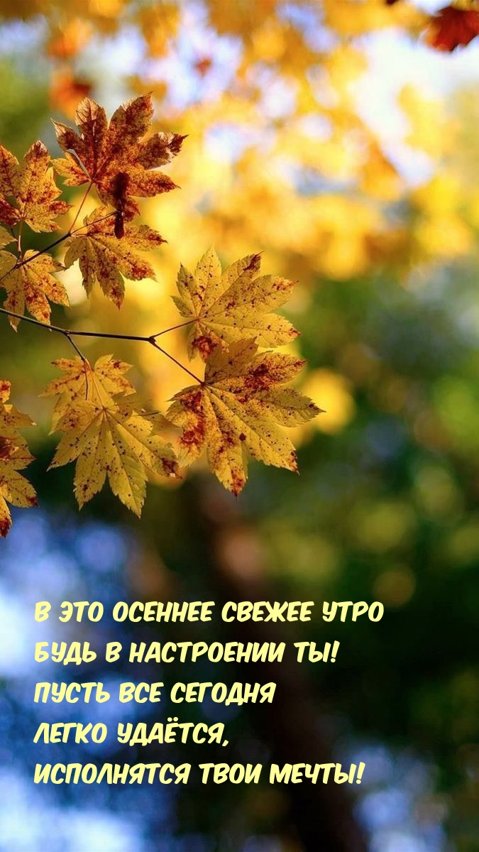 В это осеннее свежее утро будь в настроении ты!