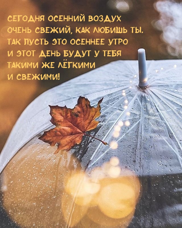 Сегодня осенний воздух очень свежий, как любишь ты. 