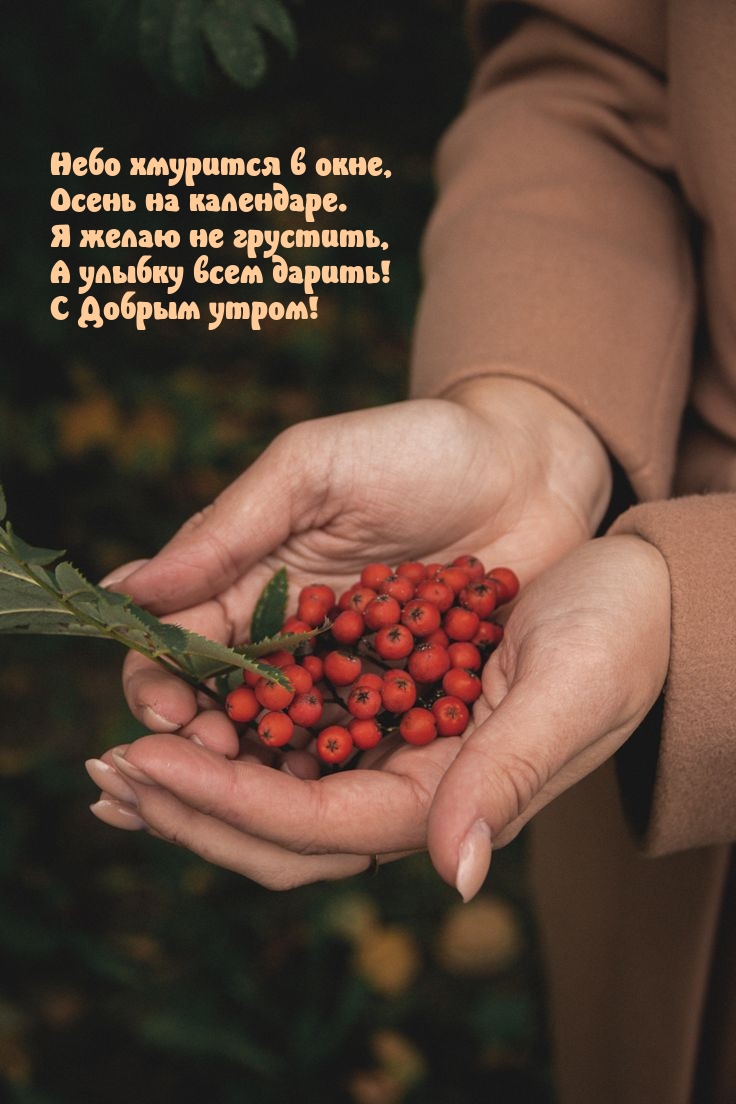 С Добрым утром! Небо хмурится в окне