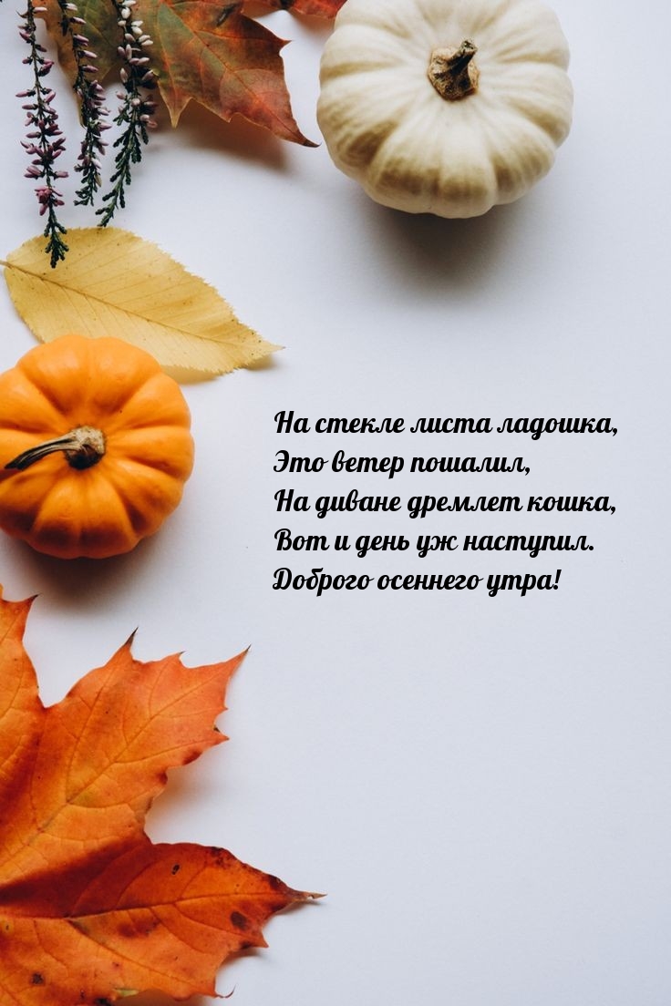 На стекле листа ладошка, это ветер пошалил Доброго осеннего утра!