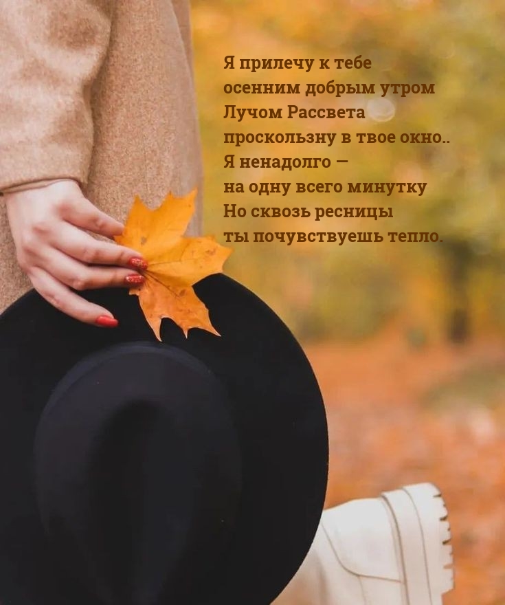 Я прилечу к тебе осенним добрым утром