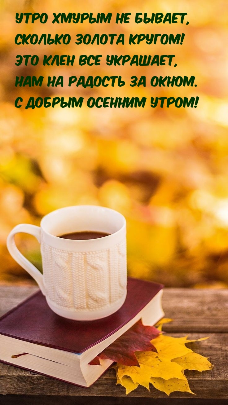 Утро хмурым не бывает, сколько золота кругом!