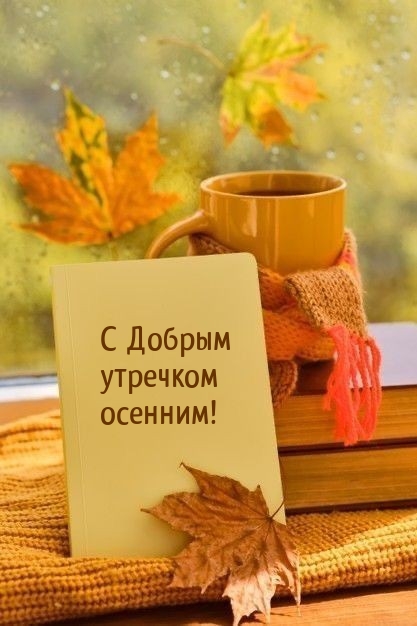 С Добрым утречком осенним!