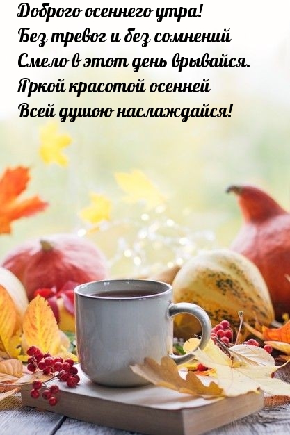 Доброго осеннего утра! Смело в этот день врывайся.