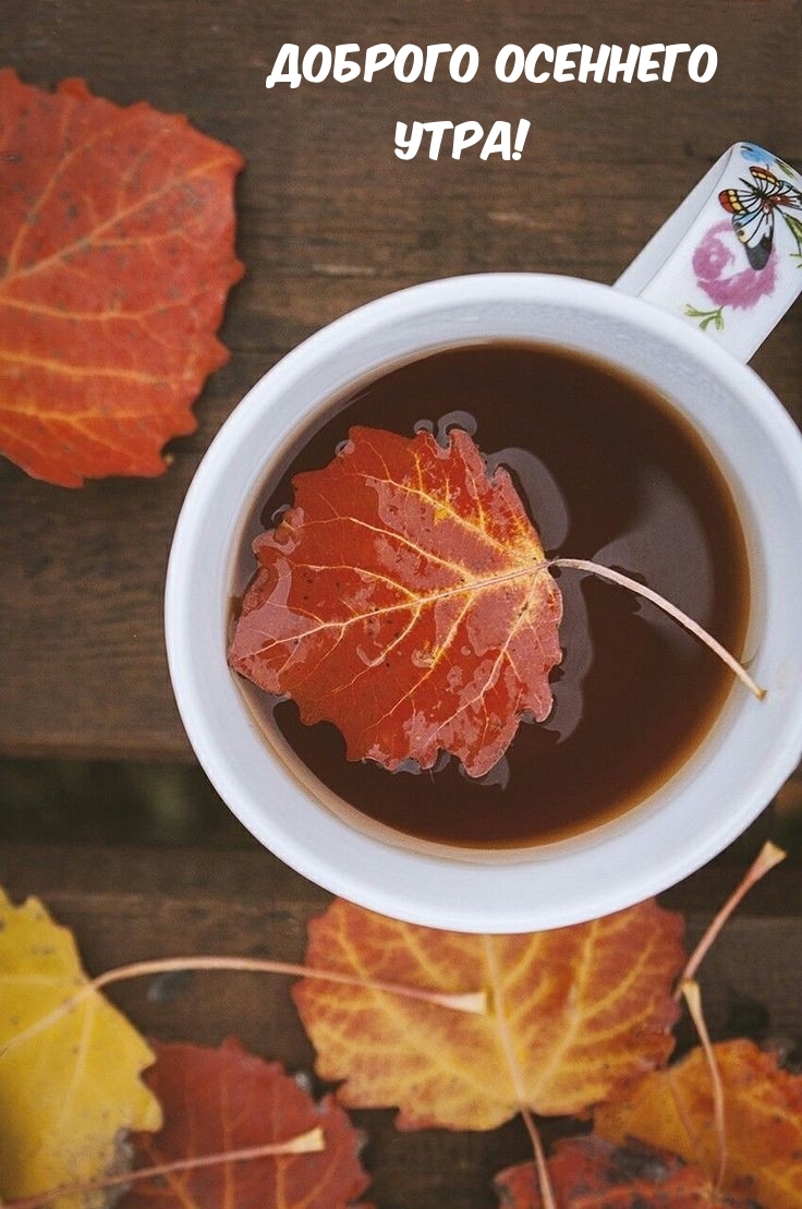 Доброго осеннего утра!