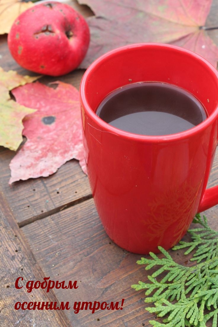 С добрым осенним утром!