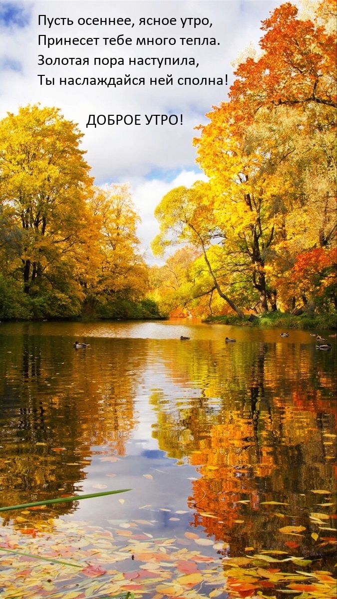 Пусть осеннее, ясное утро, принесет тебе много тепла. Доброе утро!