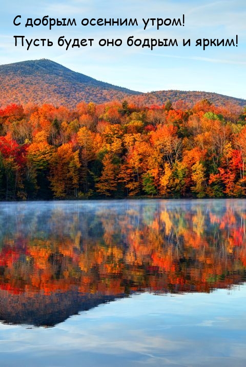 С добрым осенним утром! Пусть будет оно бодрым и ярким! 