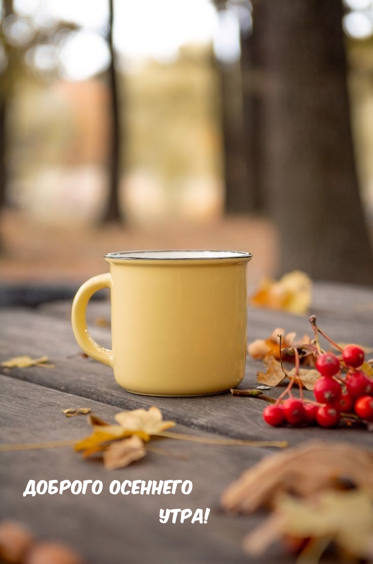 Доброго осеннего утра!