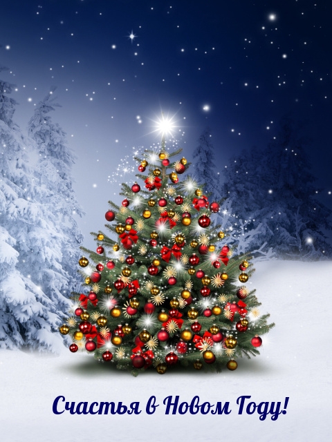 Счастья в Новом Году!