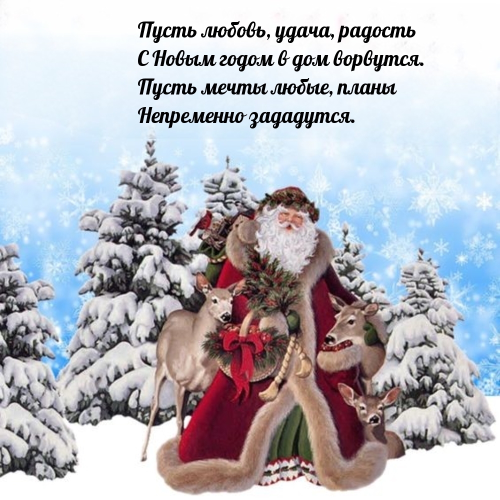 Пусть любовь, удача, радость с Новым годом в дом ворвутся.